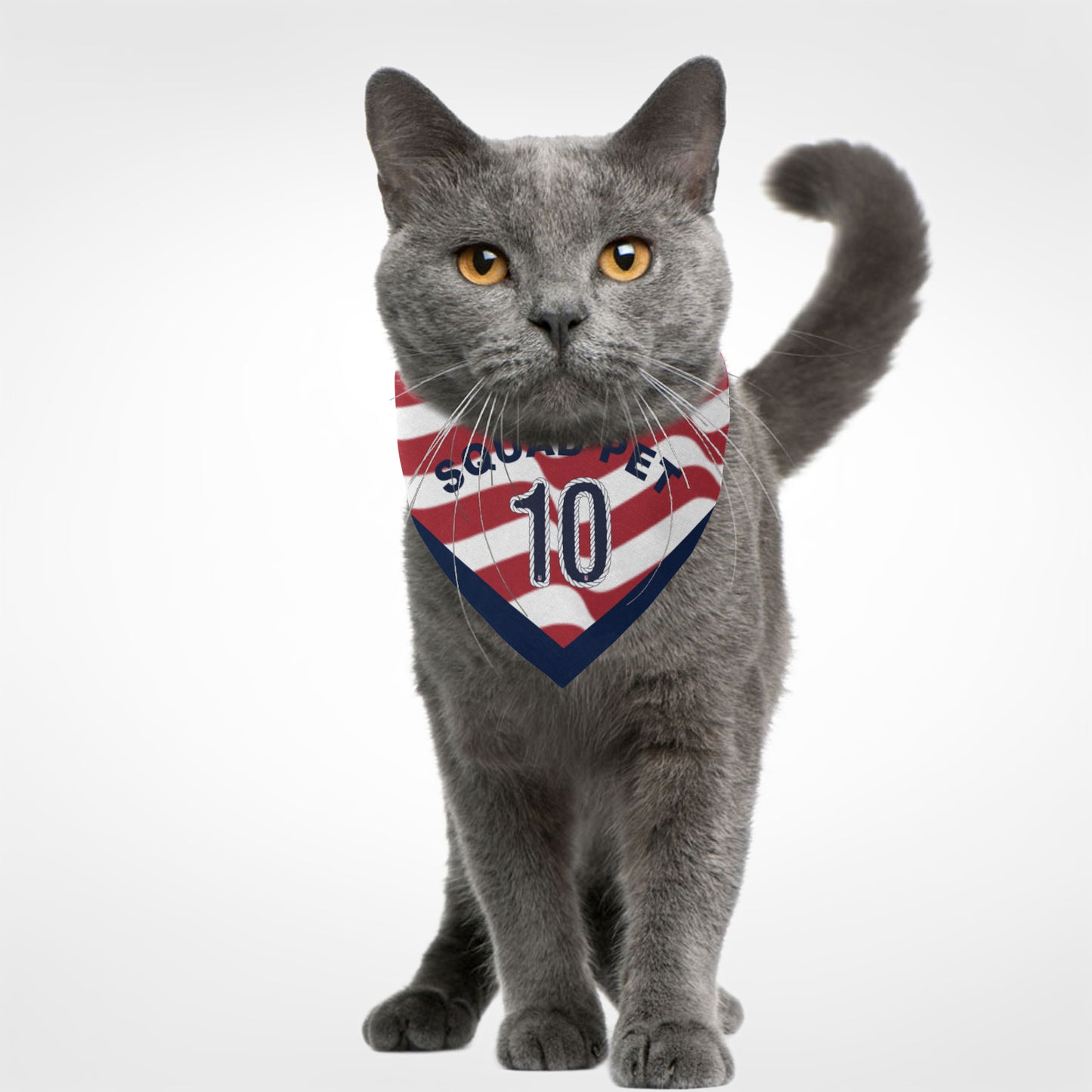 joithing Squad Two sides Pet Bandana — 2026 USA Fan Edition · American Wave