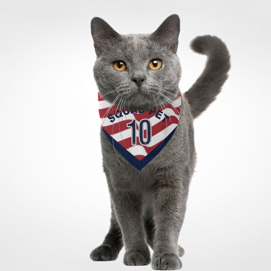 joithing Squad Two sides Pet Bandana — 2026 USA Fan Edition · American Wave