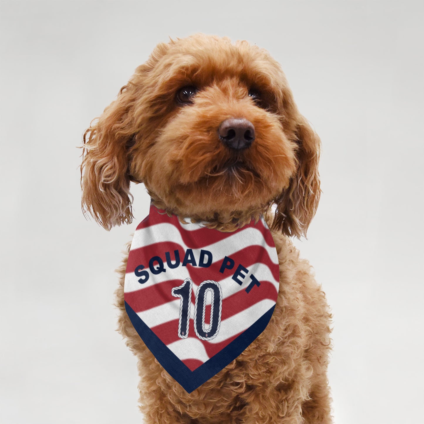 joithing Squad Two sides Pet Bandana — 2026 USA Fan Edition · American Wave
